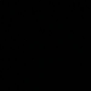 Meet your Posher, Sandy